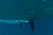 hw-sync:113713_e7401a455db2ccde7e6f88a50b7181c74adcfb0c.jpg