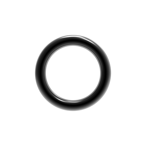 Surf Ring 2019
