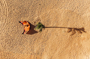 hw-sync:product_marketing_image_85000250001_03.jpg