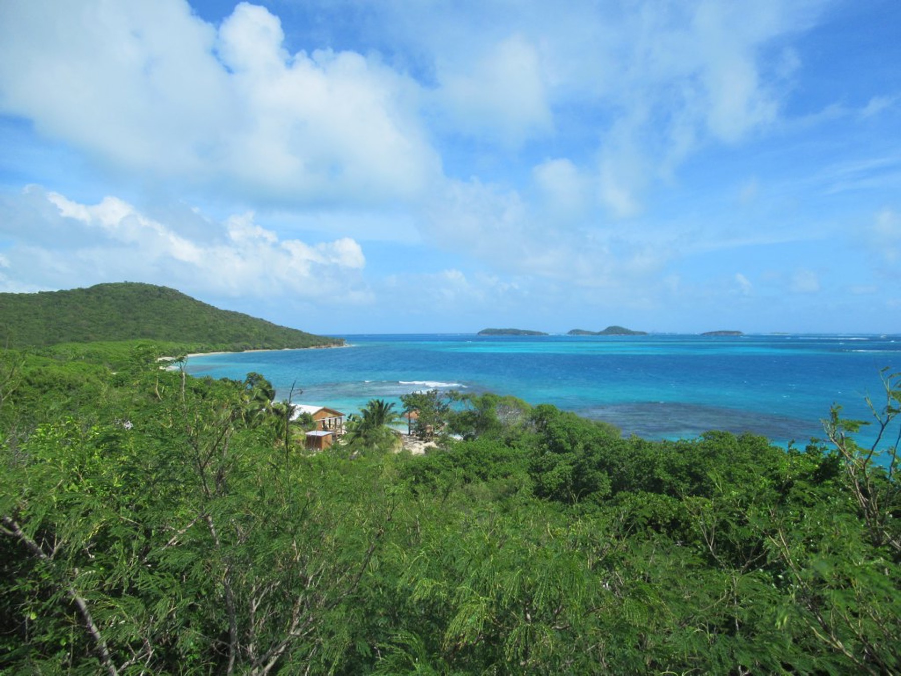 Tobago Cays field view 2